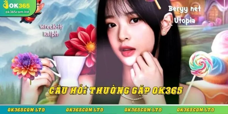 Câu hỏi thường gặp ok365