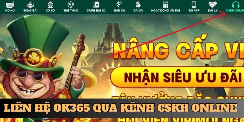 Liên hệ OK365 qua kênh CSKH Online