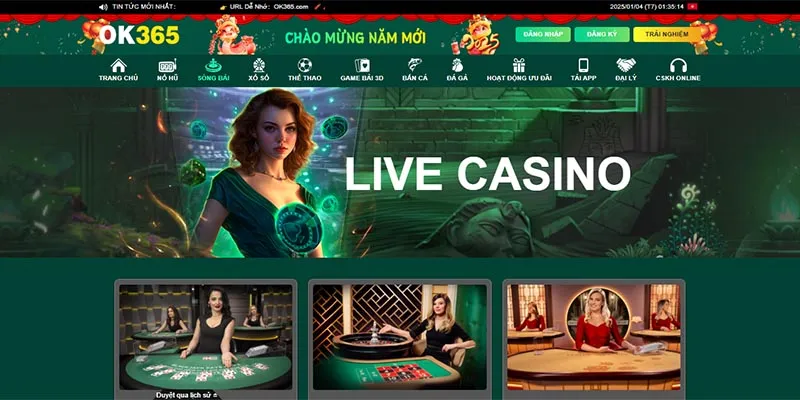 Live casino OK365