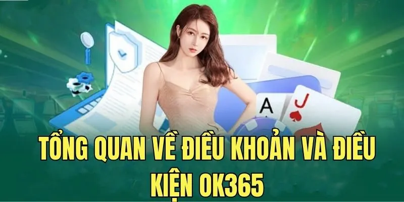 Tổng quan điều khoản ok365